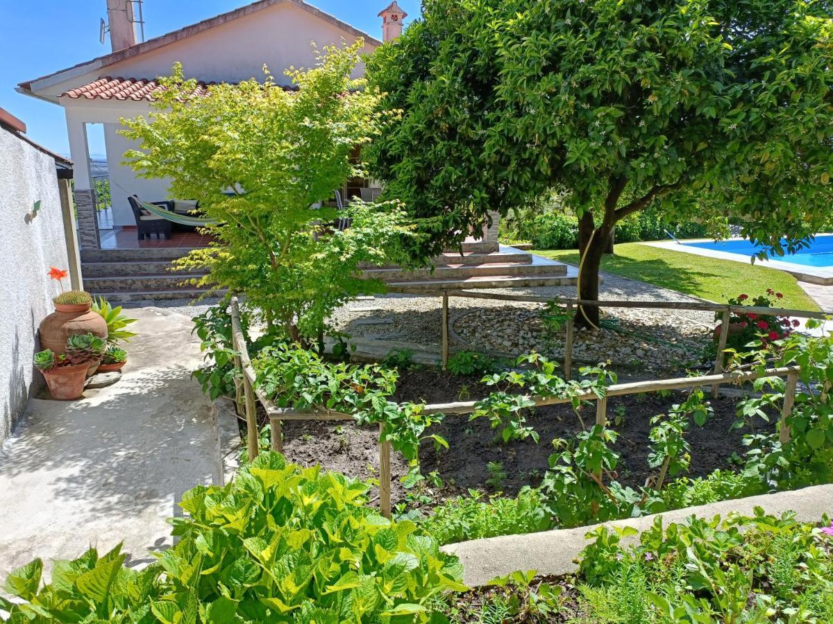 فيلا Casa Da Gardunha Corticada  المظهر الخارجي الصورة